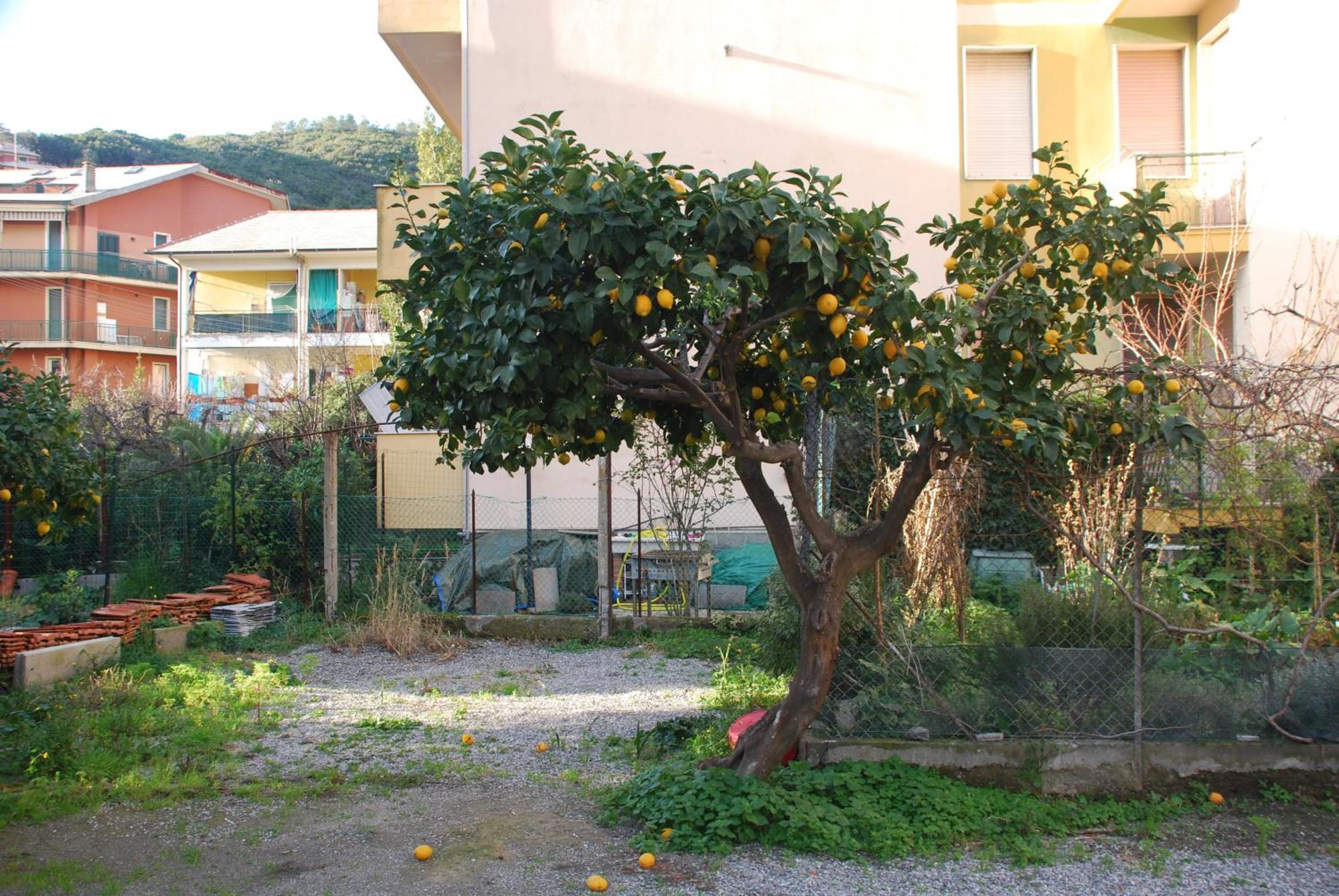 Apartmán Tinetto Brezza Di Mare Deiva Marina Exteriér fotografie